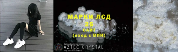хмурый Дегтярск