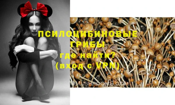 соль курить ск Верхний Тагил