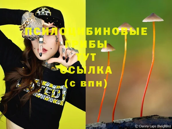 а пвп мука Бородино