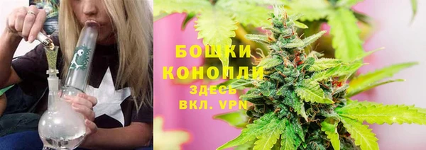 мдпв Вязьма